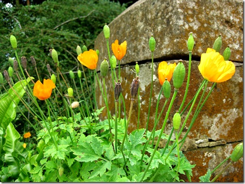 Chantmarle Manor 053