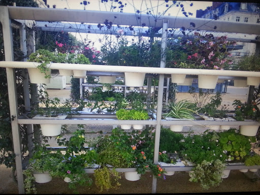 Bibliothèques végétales