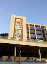 Universidad José Cecilio Del Valle