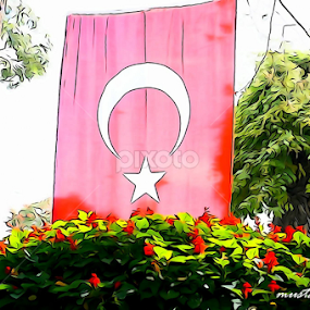 Balta Nasil Secilir Baltalar Hakkinda Bilgiler Tek Basina Da Olur
