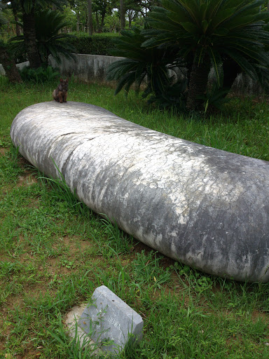 Giant Oblong Lay down Thing