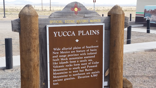 Yucca Plains
