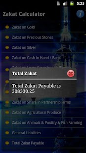   Zakat Calculator- screenshot thumbnail   