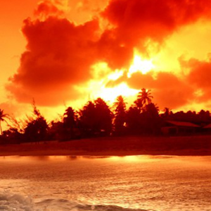 Sunset Live Wallpaper - Android Apps on Google Play