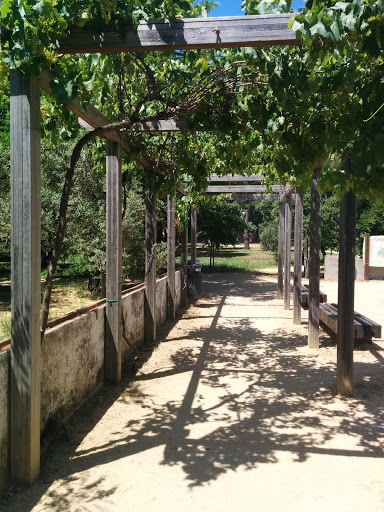 Winetree Passage