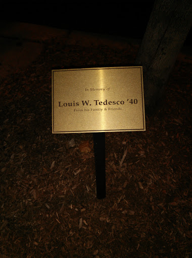 In Memory Of Louis W. Tedesco '40