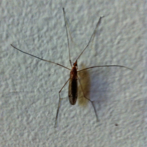 Spotting Image 1