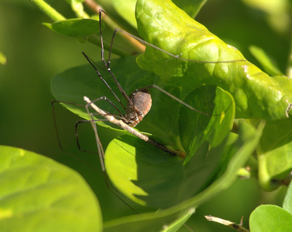 Spotting Image 1