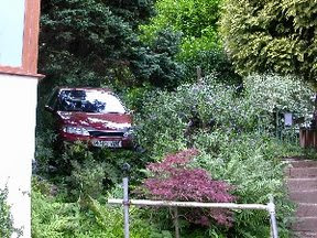 A car in a bush, yesterday