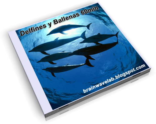 Delfines y Ballenas - WEB.png