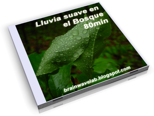 Lluvia-Bosque-WEB.png