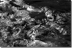 IMG_2850