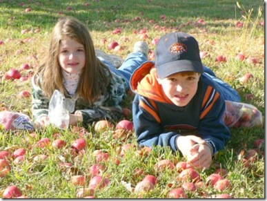 c and kk 2005 apples