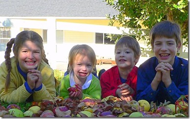 2006 orchard