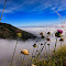 JohnKompare20100603-1.jpg