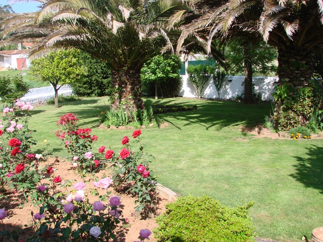 [2008-06-05 Veggur 003[2].jpg]