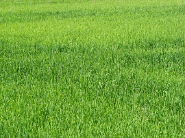 [2008-07-24 008[2].jpg]