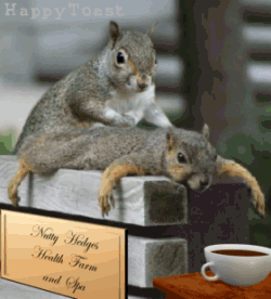 [6a00d414283eb23c7f00e398bf2e660003-500pi[3].gif]