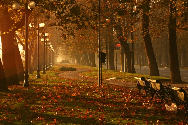 [Jardim Santiago do Chile[14].jpg]