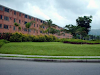 Codflex118353 Bello Y Acogedor Apartamento