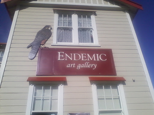 Endemic Art Gallery