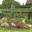 Pellynut's Backyard garden