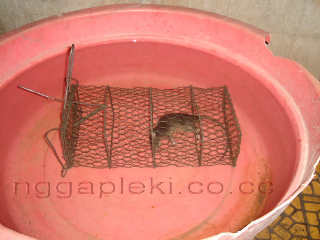 [Pembunuhan Paling Sadis[4].jpg]