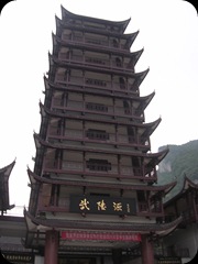 DSCN3575