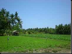 green of lombok