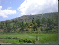 green of lombok