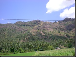 green of lombok