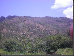 green of lombok