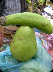 Bakul Sayur Keliling 05