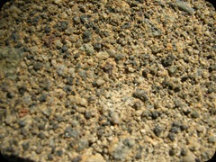 Natural 4629