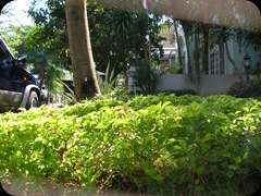 Bukit Mas 4612
