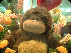 Boneka Monyet Di Toko Mas
