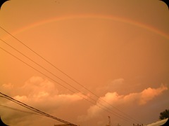 Pelangi 02