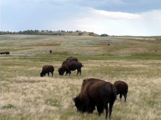 [20080913_46[3].jpg]