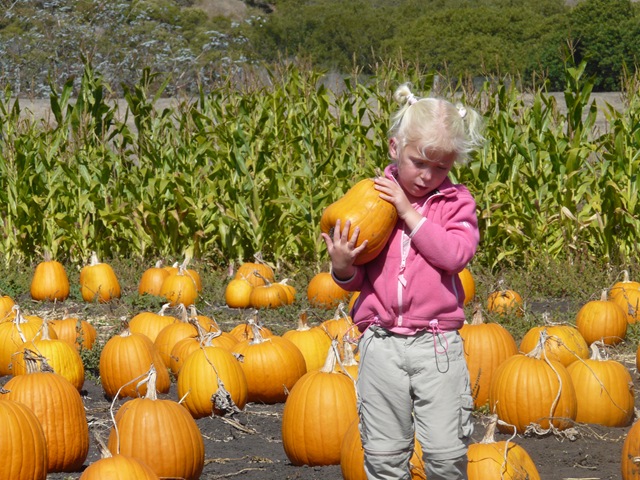 [20081011_9[3].jpg]