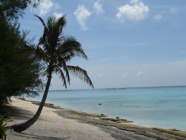 [CookIslands103.jpg]