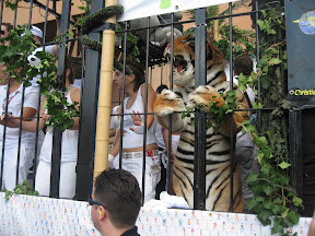 Streetparade 2008 Zürich Bilder Fotos Pictures