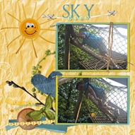 PTD_skyhigh_web