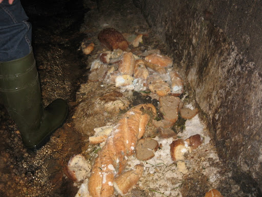 Kanalbrot