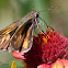 Skipper