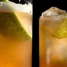 Spiced Gin and Tonic Recipe