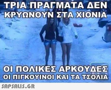 ΤΡΙΑ ΠΡΑΓΜΑΤΑ ΔΕΝ ΚΡΥΩΝΟΥΝ ΣΤΑ ΧΙΟΝΙΑ ZTA XIONIA ΟΙ ΠΟΙΝΙΚΕΣ ΑΡΚΟΥΔΕΣ ΟΙ ΠΙΓΚΟΜΙΝΟΙ ΚΑΙ ΤΑ ΤΣΟΛΙΑ 