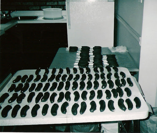 poopsicle factory (Sister's house in Toronto)