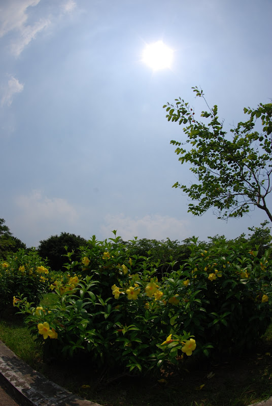 Tokina ATX 10-17mm Fisheye 實拍報告