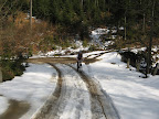 IMG_1471.JPG