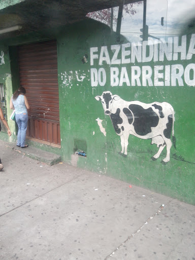 Vaca Barreiro